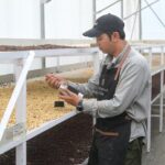 Panas Bumi Kamojang Ubah Proses Produksi Kopi, Pertamina Dorong Ekonomi Lokal