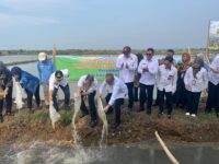 PGN, BRIN, dan Pemkab Batang Luncurkan Minapadi Salin untuk Dongkrak Ekonomi Pesisir