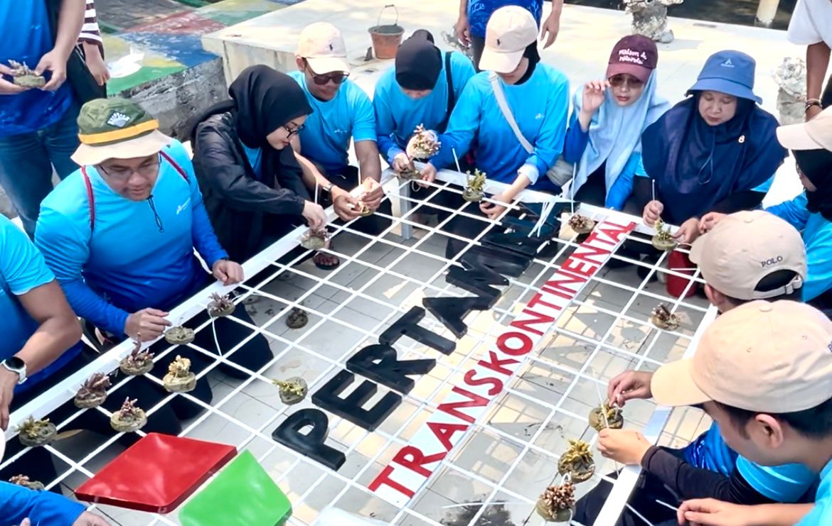 Pertamina Trans Kontinental Tanam 300 Fragmen Karang untuk Pulihkan Ekosistem Pulau Pramuka