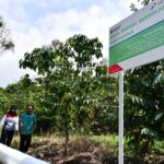 Desa Energi Berdikari Pertamina Jangkau 262 Desa, Dorong Ekonomi dan Energi Bersih