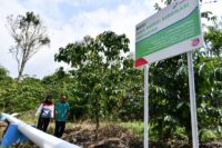 Desa Energi Berdikari Pertamina Jangkau 262 Desa, Dorong Ekonomi dan Energi Bersih