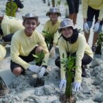 PHI Tanam 1.500 Mangrove dan Lamun di Pulau Pari, Perkuat Mitigasi Perubahan Iklim