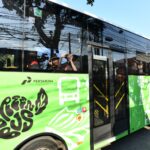 Hari Anak Nasional, Pertamina Cetak 17 Ribu Green Warriors untuk Selamatkan Bumi