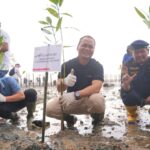PHI Tanam 2.800 Mangrove, Serapan Karbon Capai 486 Kg CO₂eq