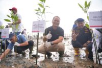PHI Tanam 2.800 Mangrove, Serapan Karbon Capai 486 Kg CO₂eq