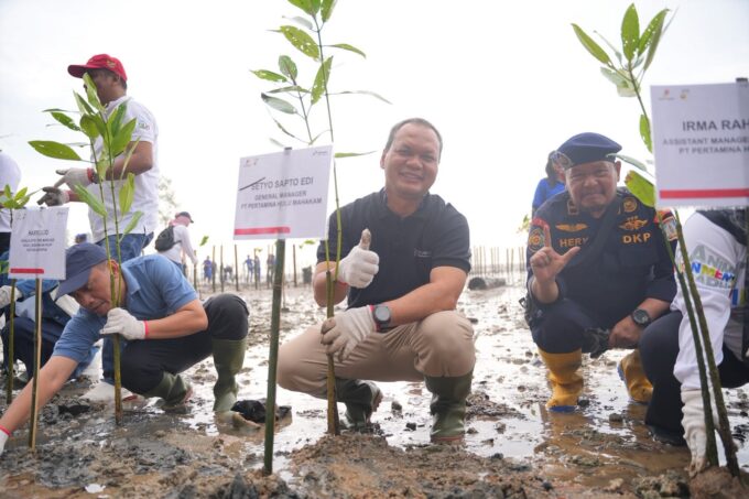 PHI Tanam 2.800 Mangrove, Serapan Karbon Capai 486 Kg CO₂eq