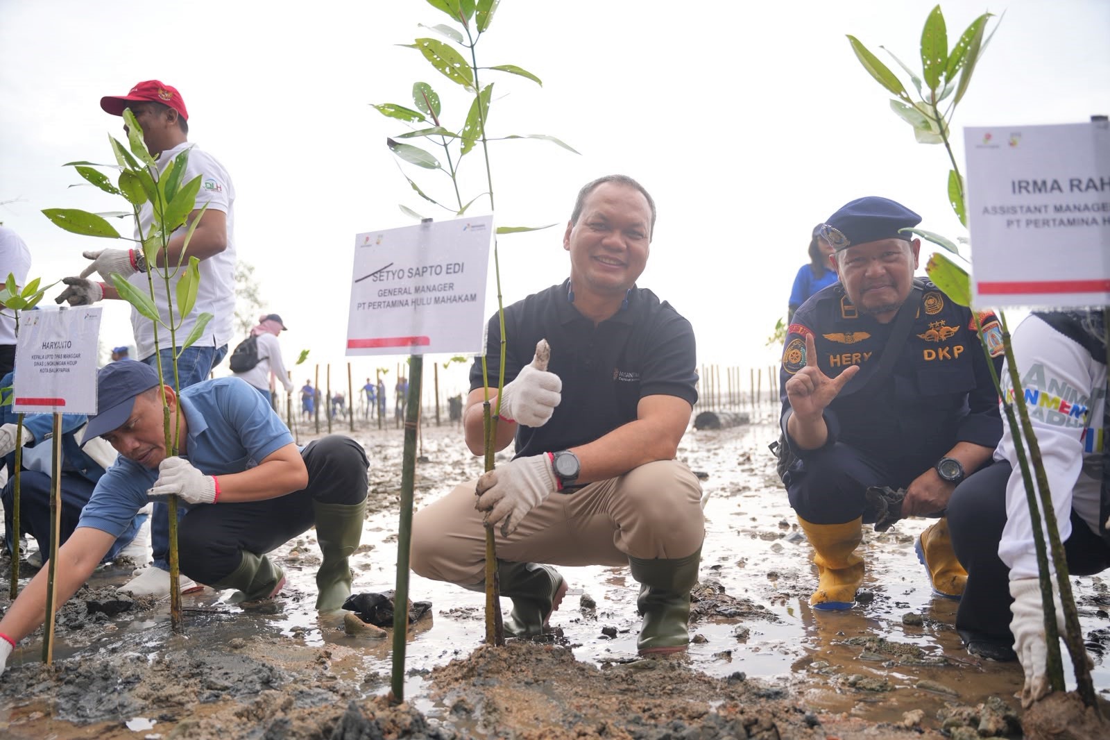 PHI Tanam 2.800 Mangrove, Serapan Karbon Capai 486 Kg CO₂eq