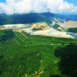 PGE Kembangkan Bisnis Hijau di Luar Listrik Panas Bumi