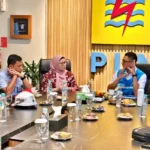 Jelang HUT ke-81 RI, PLN Siapkan Listrik Berlapis di Istana Merdeka