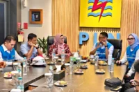 Jelang HUT ke-81 RI, PLN Siapkan Listrik Berlapis di Istana Merdeka
