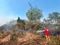 Karhutla Muncul Lagi, Pertamina EP Ramba Turun Tangan 17 Kali Padamkan Api