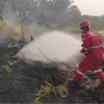 PHR Gerak Cepat! 14 Kali Karhutla Dipadamkan, Fasilitas Operasi Jadi Taruhan