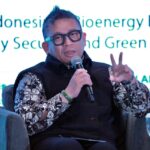 Potensi Biomassa Melimpah, Peluang Kemitraan Energi Hijau Terbuka Lebar