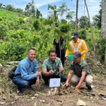 PHE Pulihkan Jalur Gajah di Aceh, Ribuan Pohon Jadi Senjata Restorasi