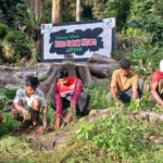 Dari Limbah Jerami hingga Energi Air, Jurus Pertamina Ubah Potensi Sumbar Jadi Cuan