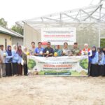 Bukan Cuma Sayur, Kelompok Tani Perempuan di Kaltim Panen 128 Melon Premium!